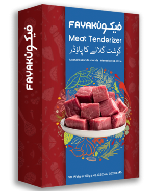 FAYAKUN Meat Tenderizer – Tenderize Your Life